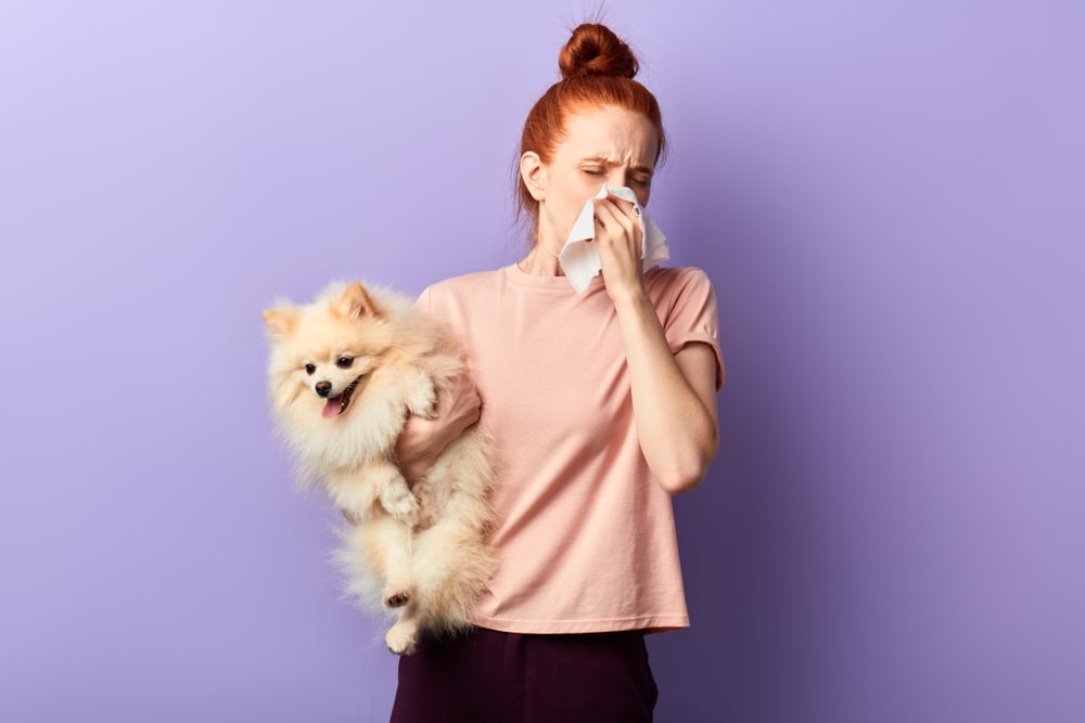 can dogs get colds like humans