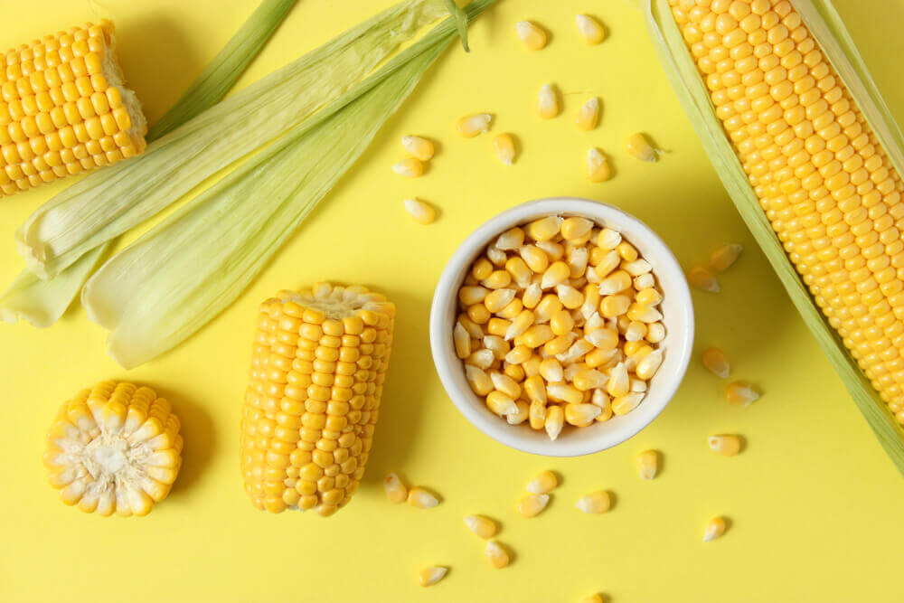 fresh-corn-off-the-cob