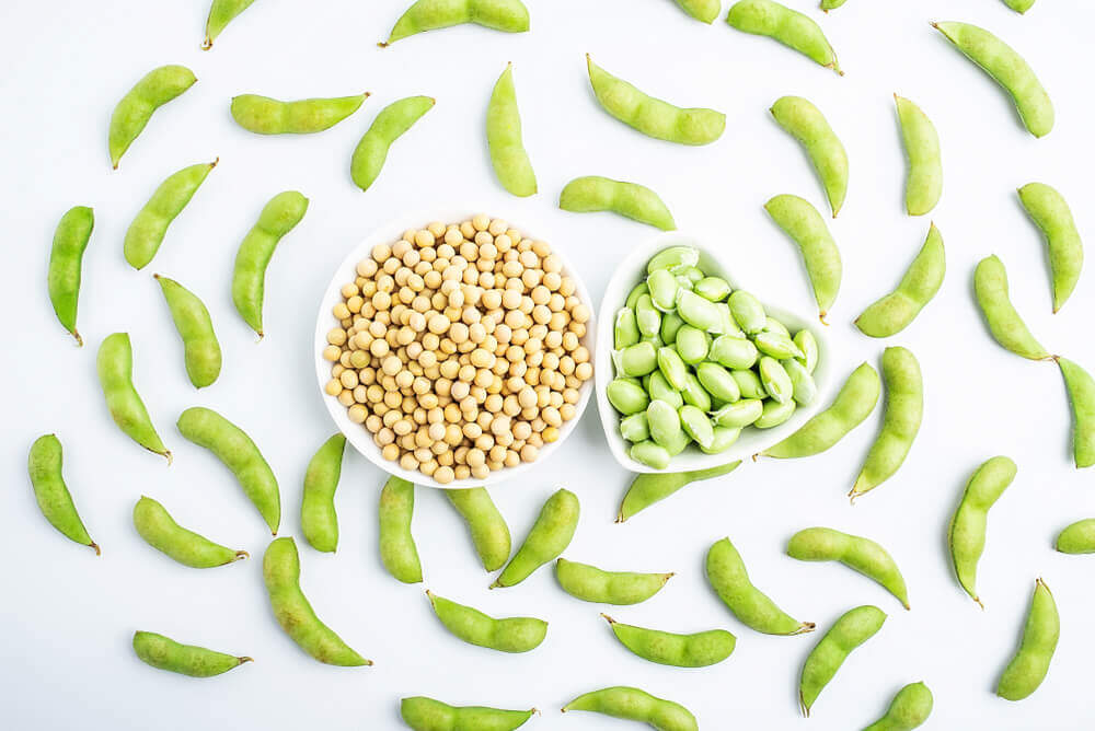 soybeans-and-edamame-in-dog-bowls