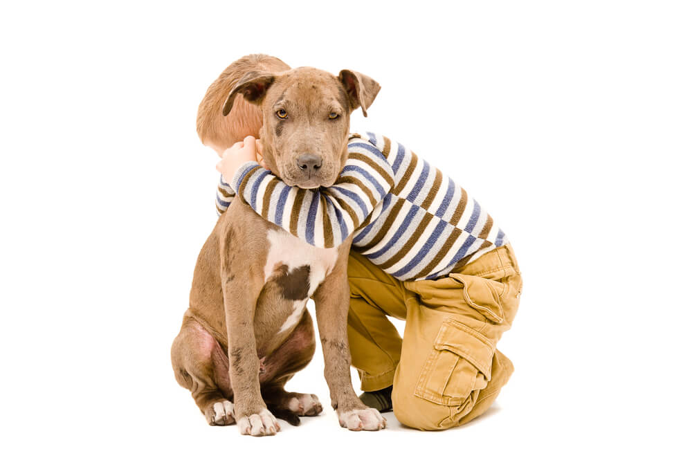 young-boy-hugs-a-pit-bull-puppy