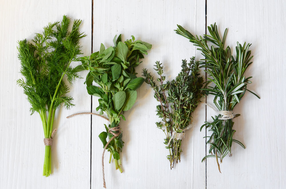 fresh-cut-herbs-in-bunches