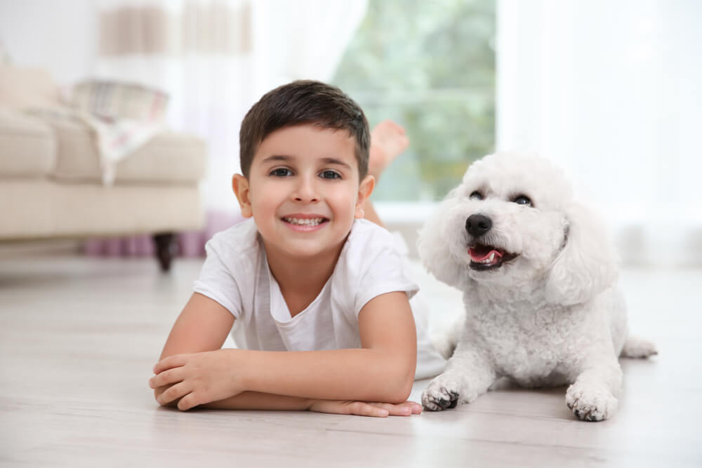 Bichon-Frise-and-little-boy-lay-on-the-floor-in-the-living-room