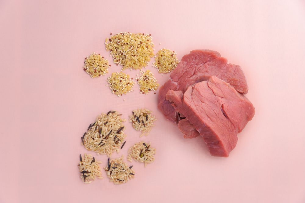 quinoa-with-grains-and-raw-meat-for-dogs