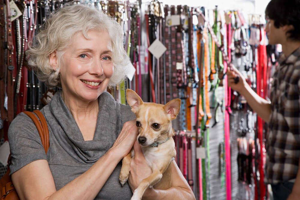 senior-woman-takes-her-chihuahua-to-buy-new-collar