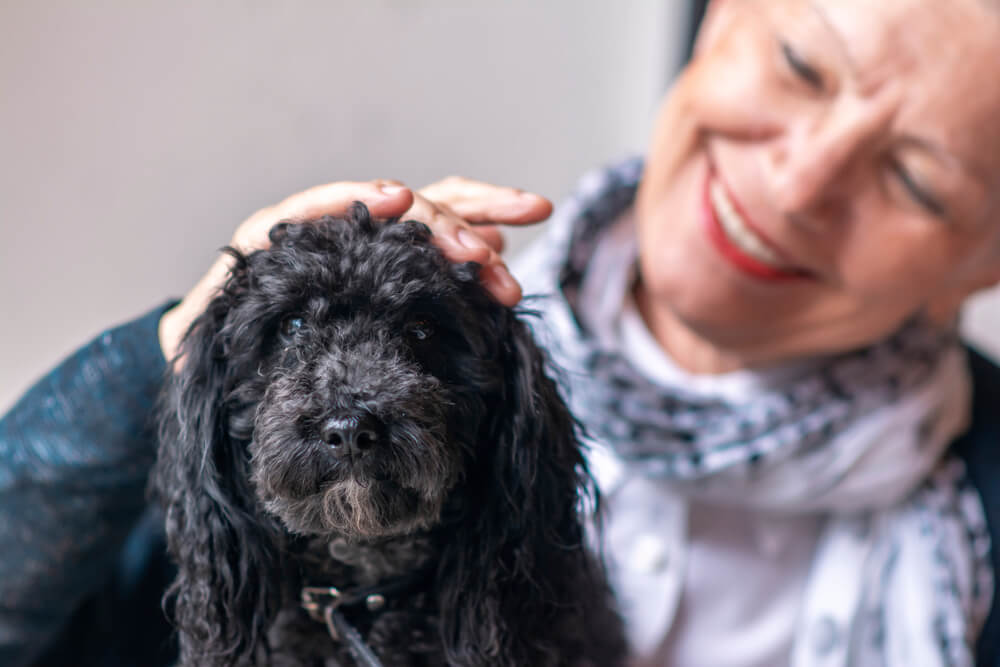 senior-woman-with-her-black-miniature-poodle