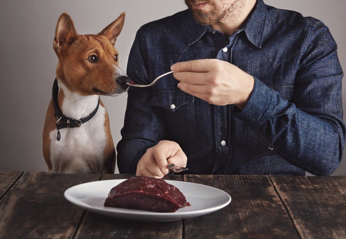 Is Beef Liver Good For Dogs: Amazing Beef Liver Benefits For Your Pet -  Ollie Blog