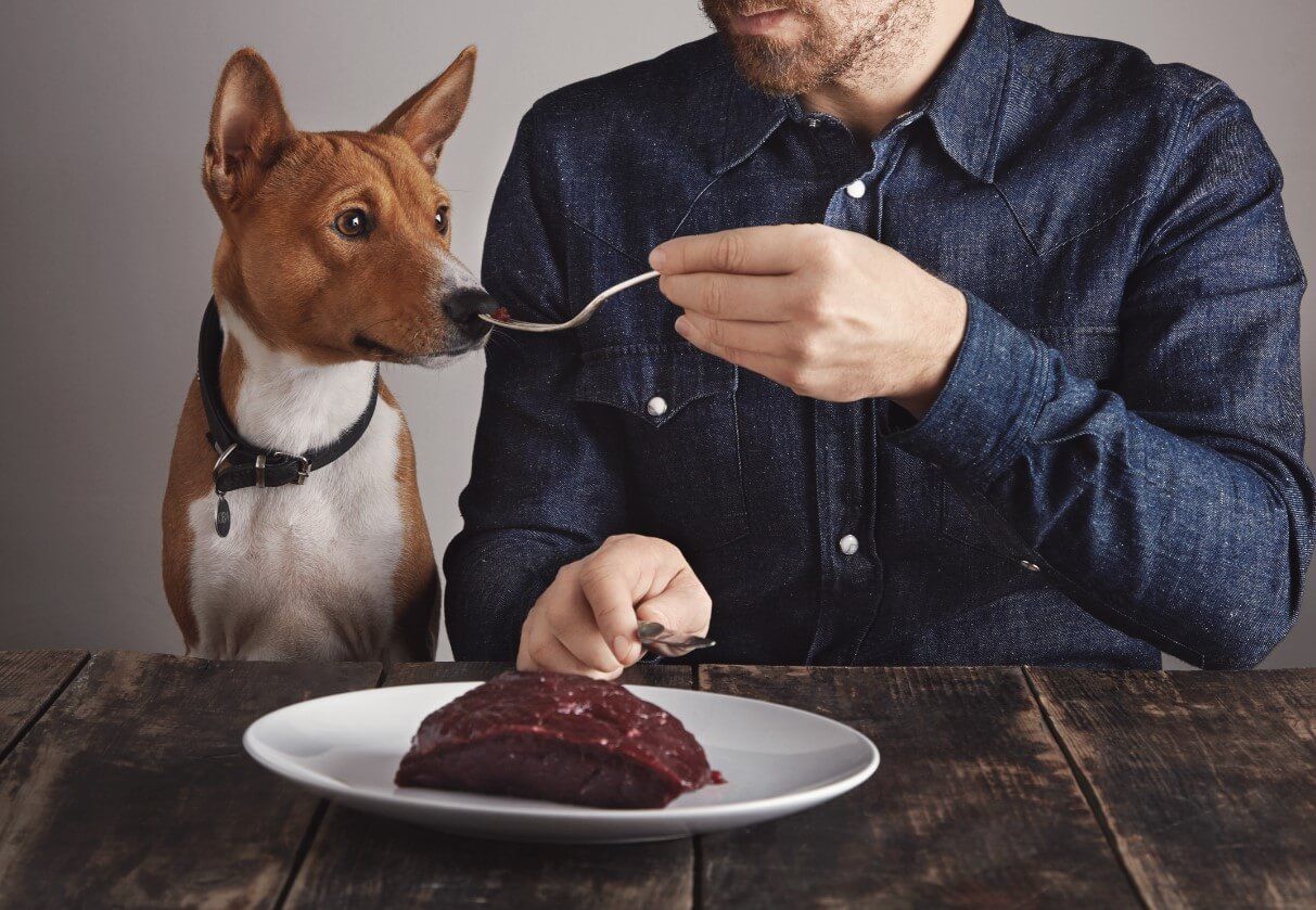 Is beef liver 2025 bad for dogs