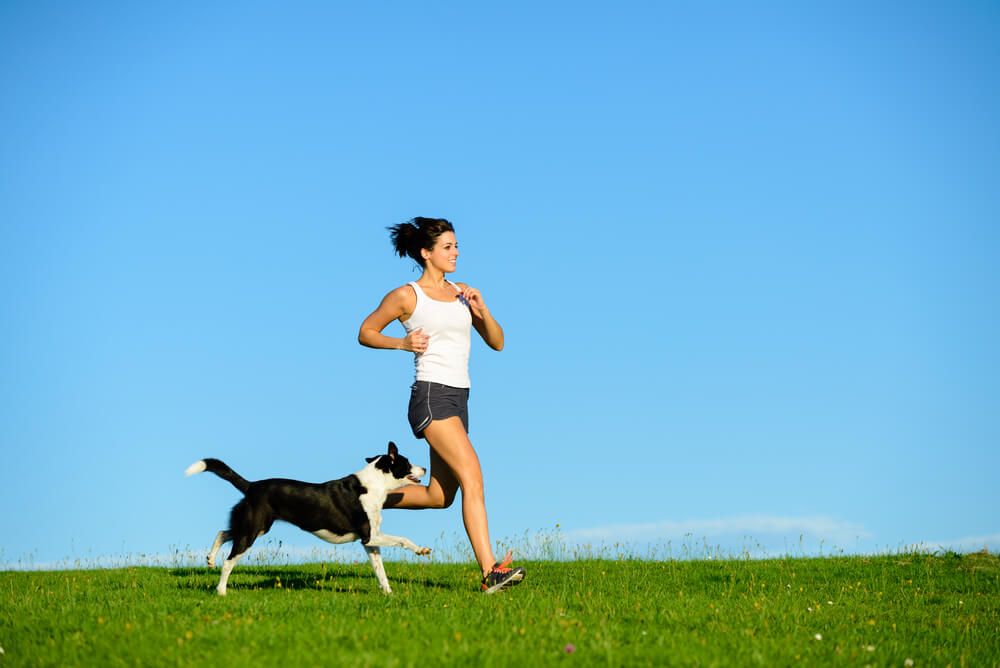 person-running-alongside-dog