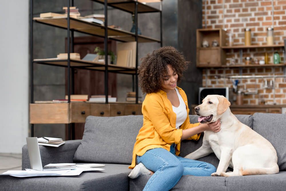 woman-takes-break-from-working-from-home-with-adopted-dog