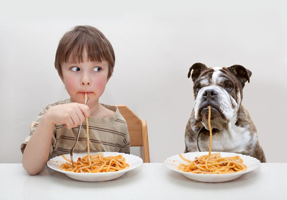 young-boy-shares-a-spaghetti-dinner-with-his-dog