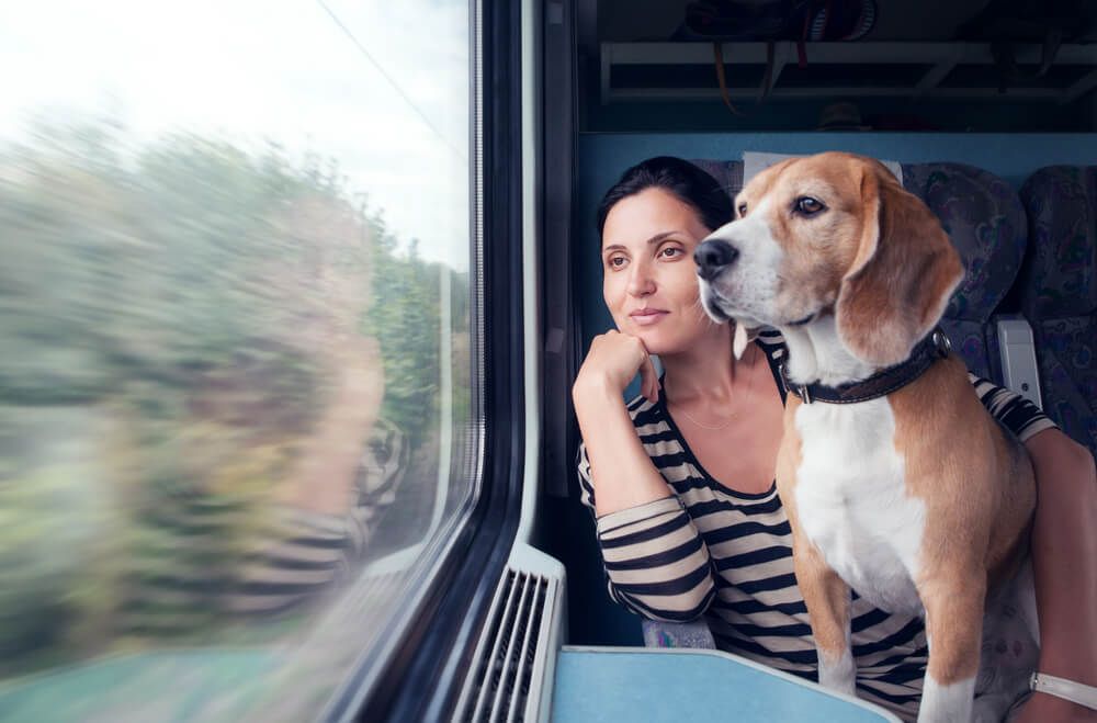 woman-traveling-by-train-with-her-emotional-support-hound-dog