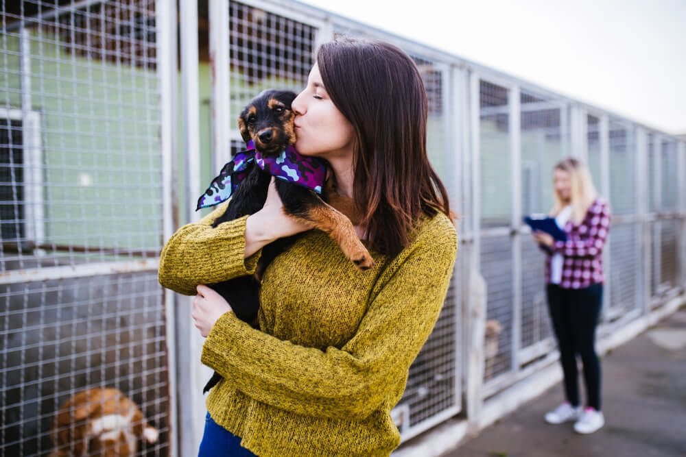 young-woman-brings-dog-home-from-shelter