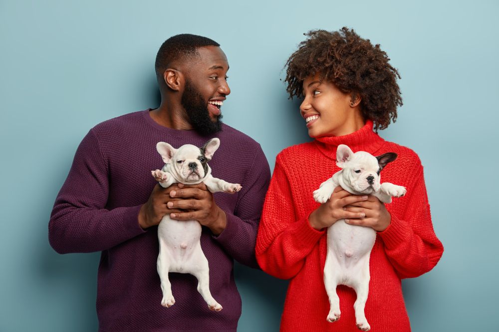 couple-has-a-photoshoot-with-their-new-puppies