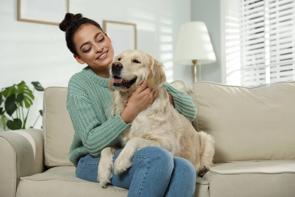 woman-sits-with-her-therapy-dog-golden-retriever-on-her-lap