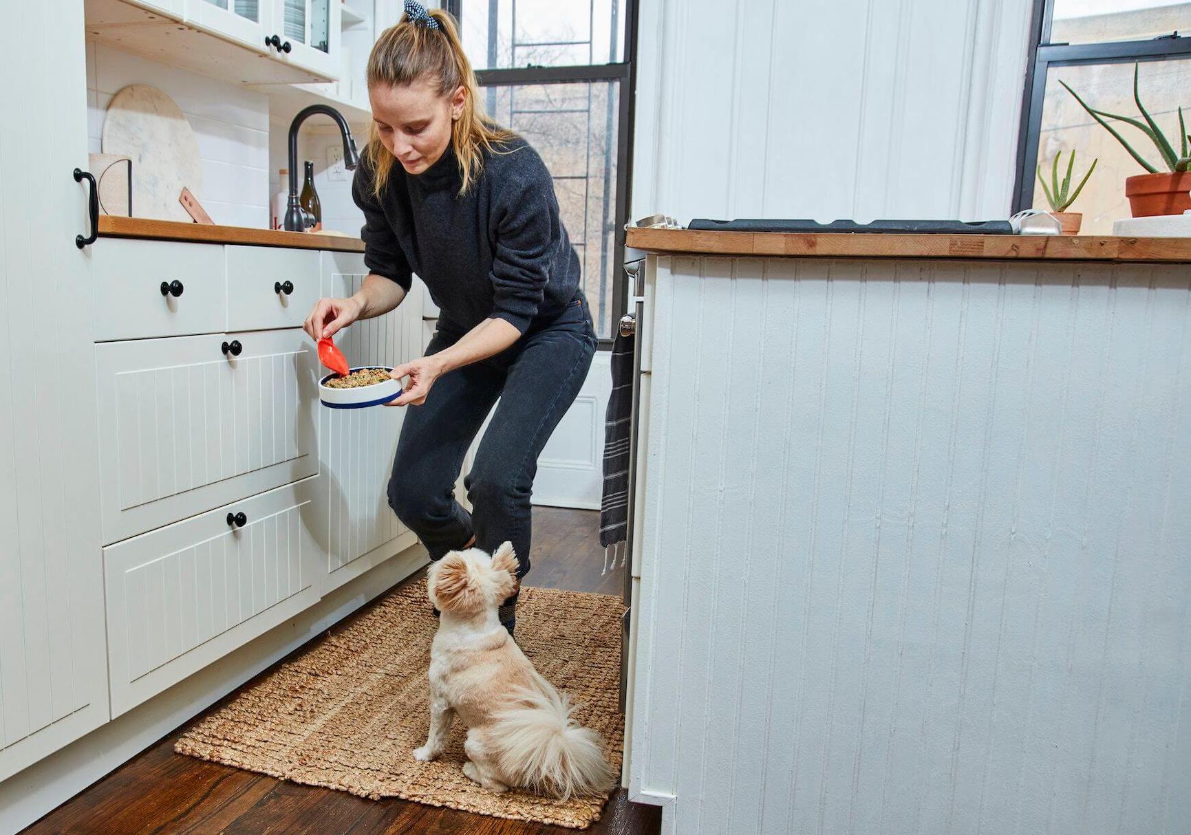 woman-trains-her-dog-to-be-patient-while-waiting-for-food
