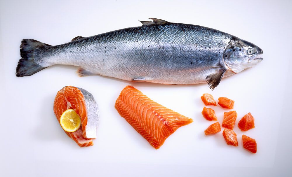 fresh-and-prepared-salmon