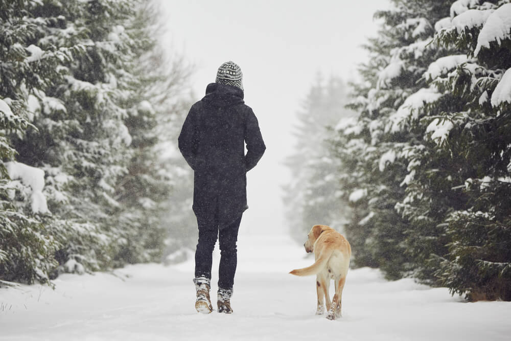 dog-walks-on-snowy-trail-with-her-owner