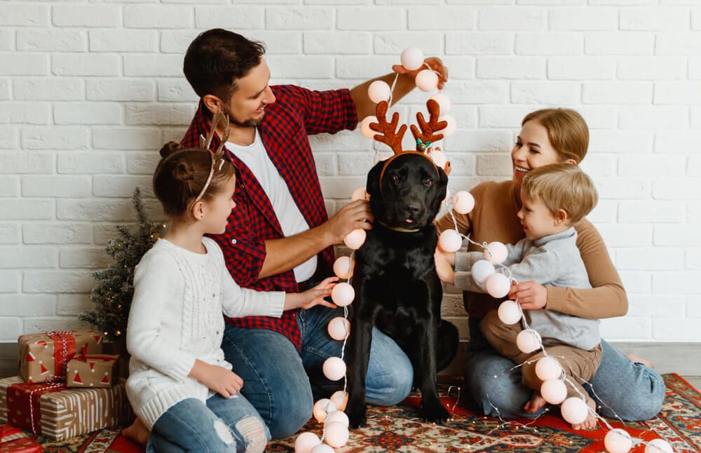 family-of-four-involve-their-dog-in-christmas-traditions