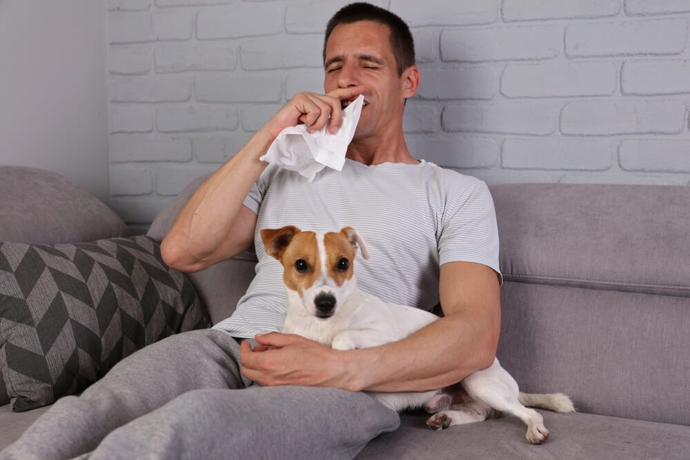 man-sneezes-from-common-cold-with-dog-on-his-lap