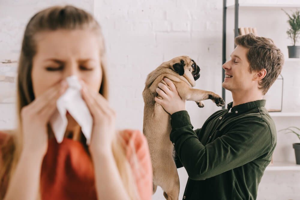 woman-with-cold-blows-her-nose-while-husband-plays-with-dog