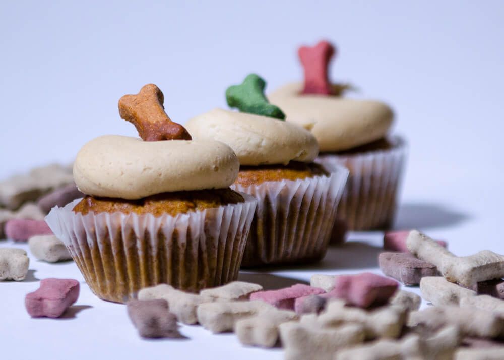 homemade-cupcakes-for-dogs