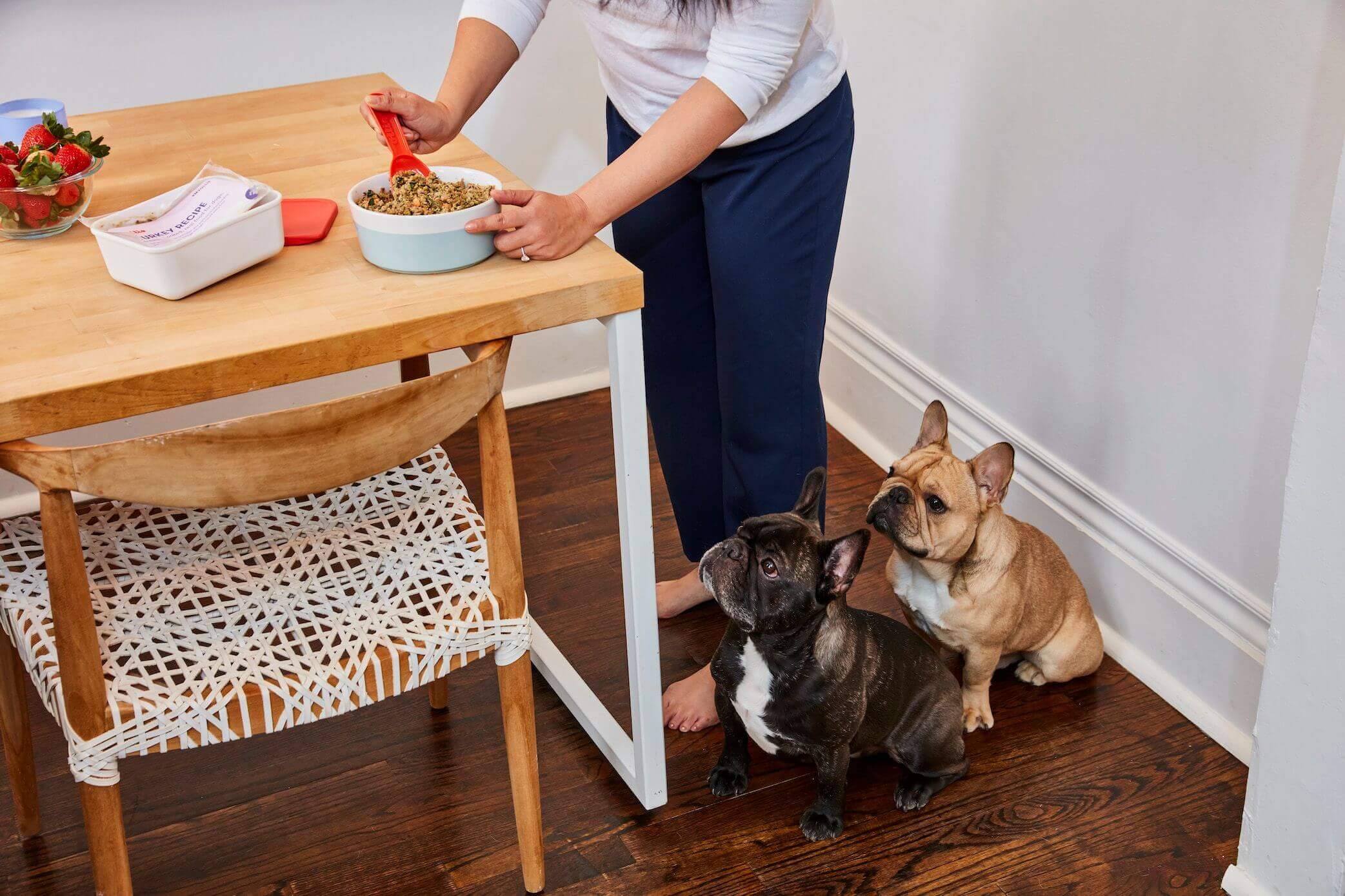 nutritionally-balanced-dog-food-for-all-life-stages