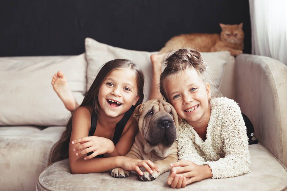 puppy-spends-time-with-two-young-family-members-and-cat