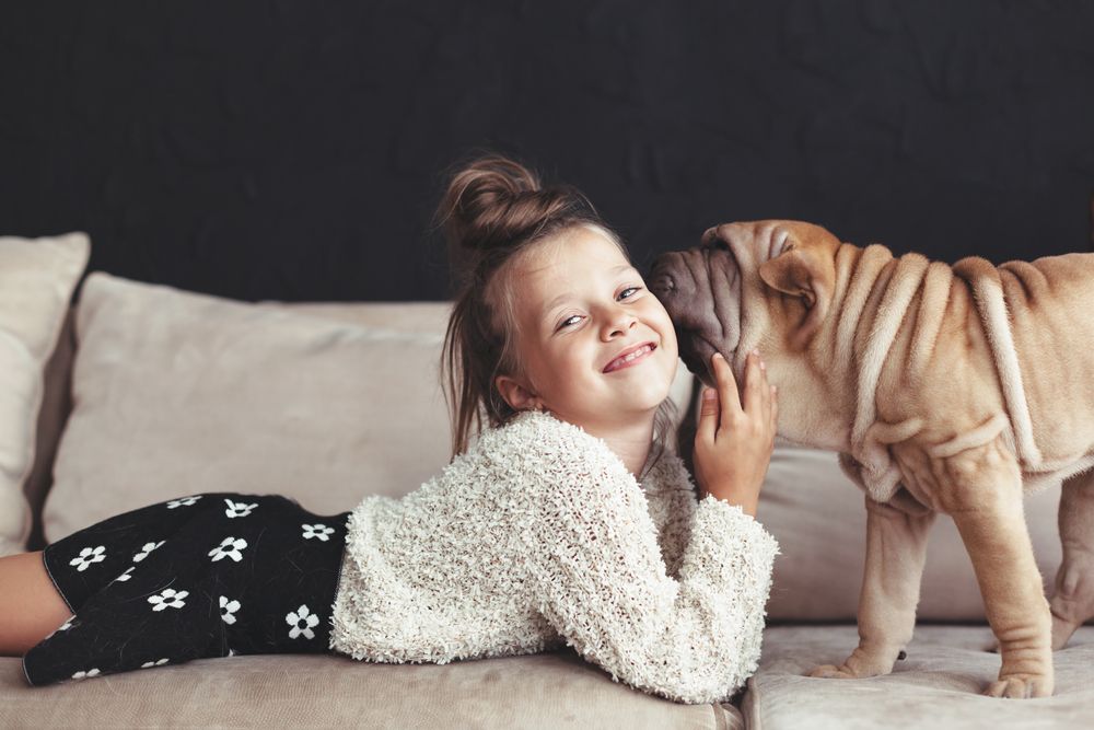 young-girl-gets-kisses-from-her-pet-shar-pei