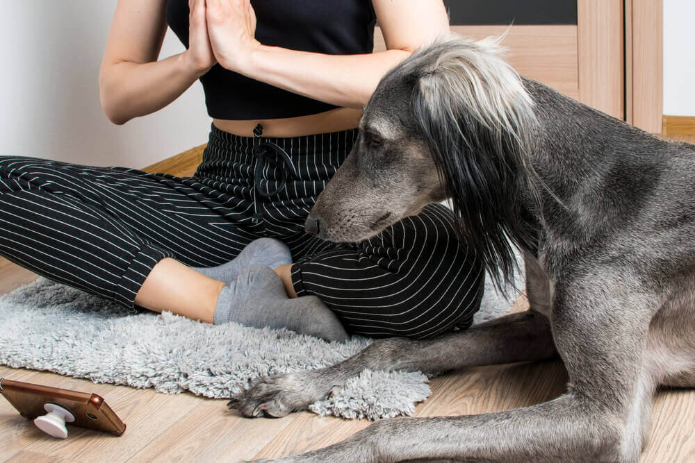 dog-and-her-mom-meditate-and-stretch-together-1