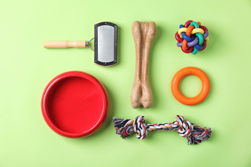 dog-toys-and-grooming-tools-on-a-light-green-background