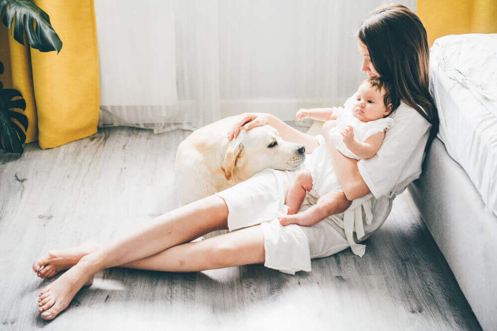 woman-introduces-new-dog-to-her-young-baby