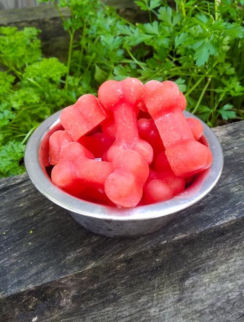 Watermelon-pupsicles