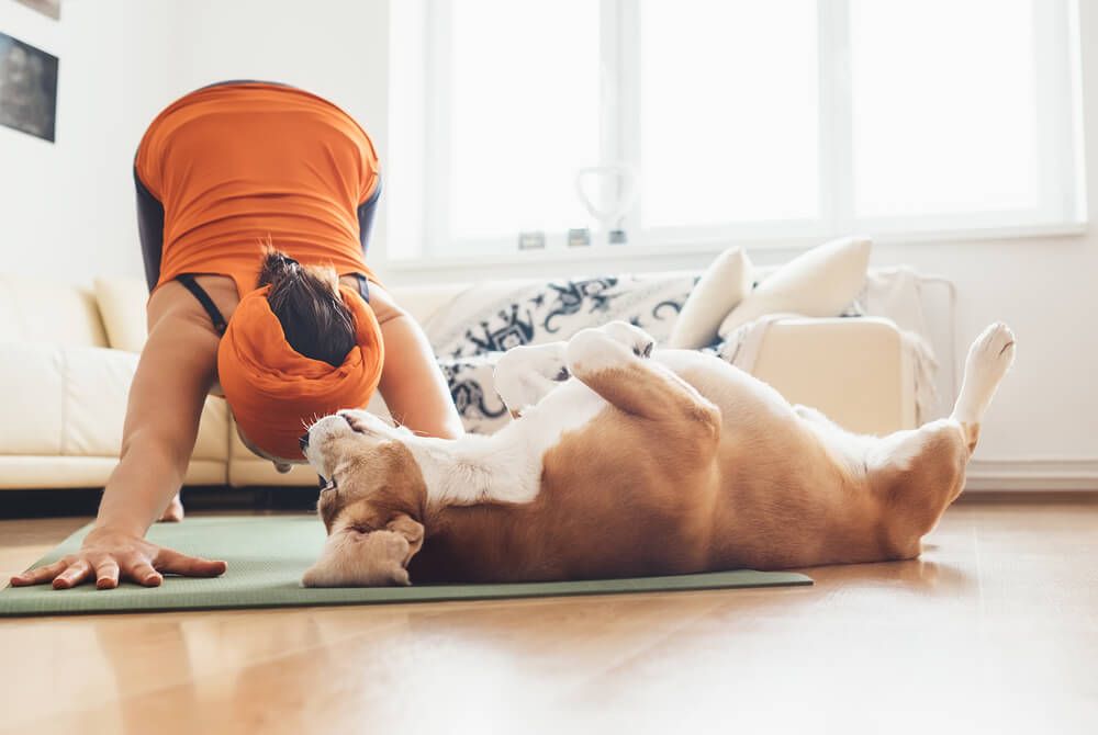 woman-stretches-in-living-rom-with-her-dog