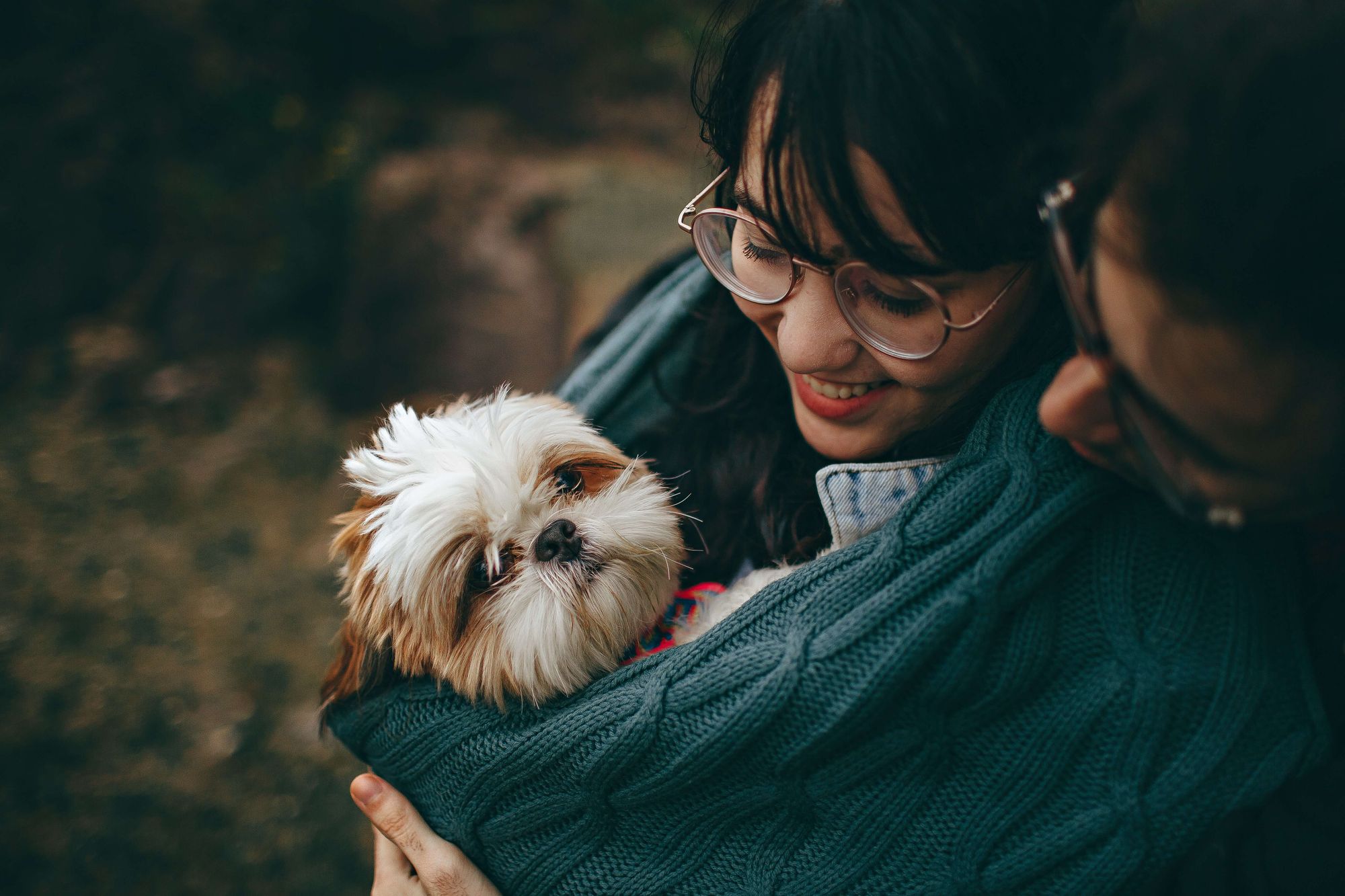 couple-hold-small-white-Shih-Tzu-in-folds-of-a-sweater-1-