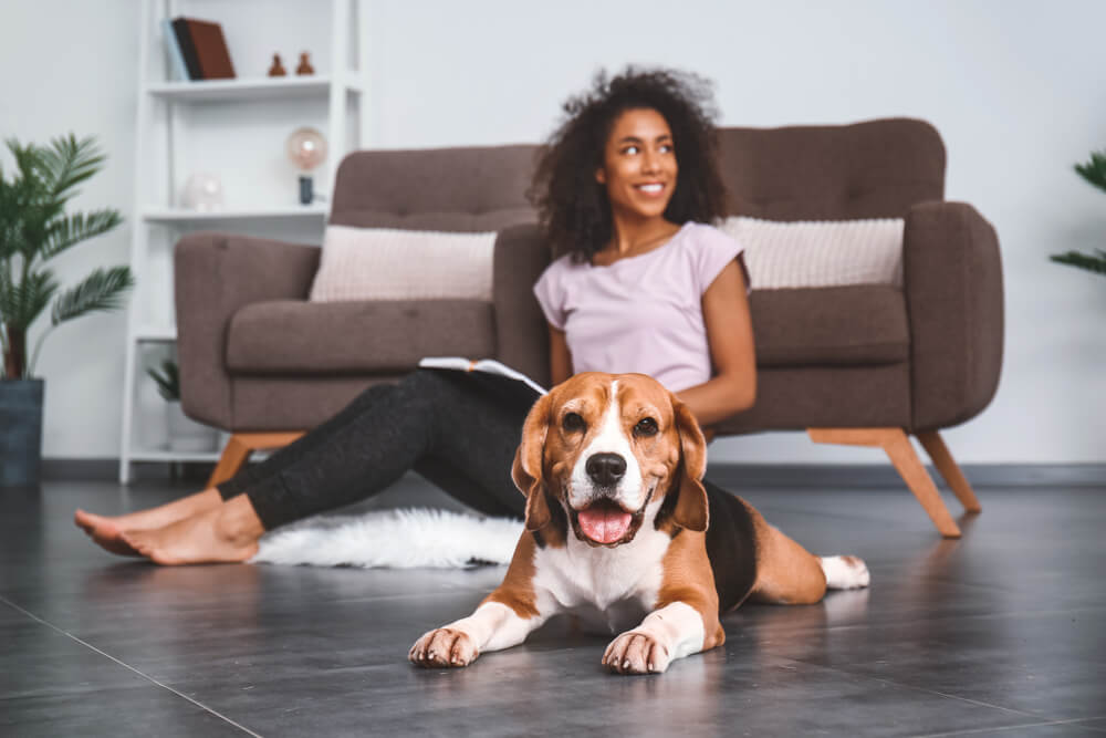 cute-beagle-and-woman-sit-on-floor-of-a-stylish-minimal-apartment
