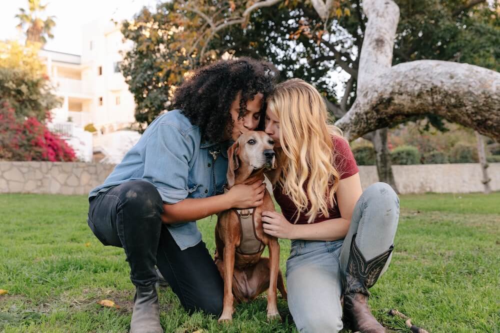 young-couple-embrase-their-rescue-dog-in-backyard