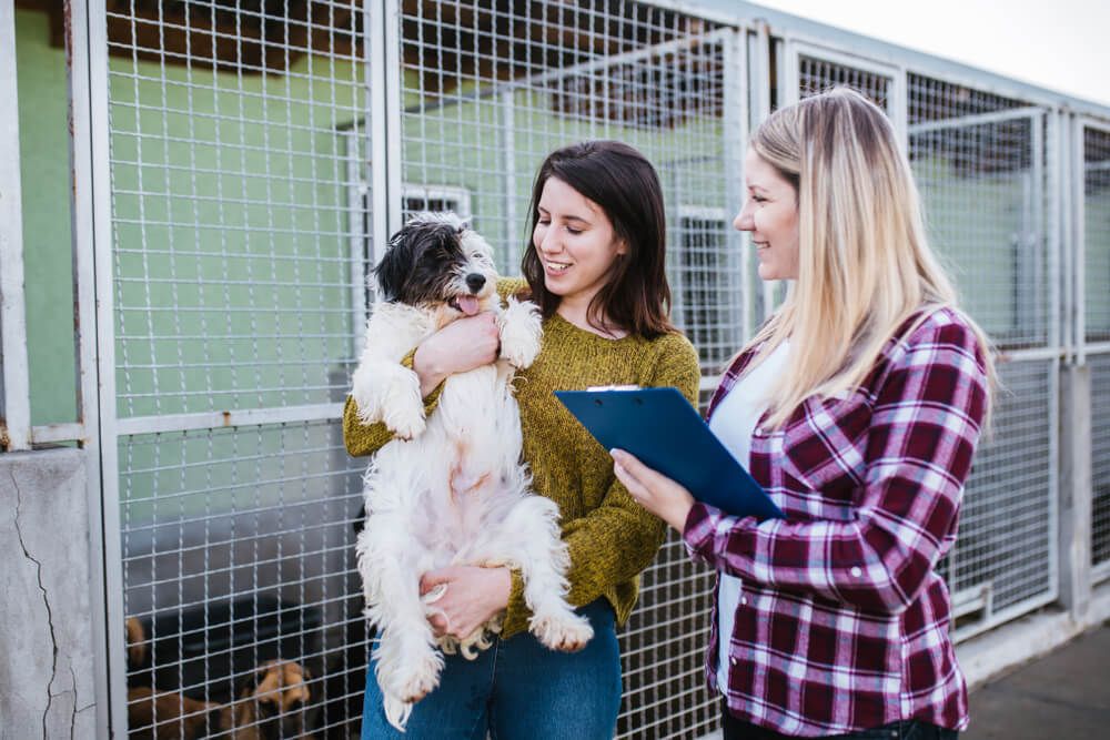 Adoption-coordinator-helps-woman-find-dog-in-shelter