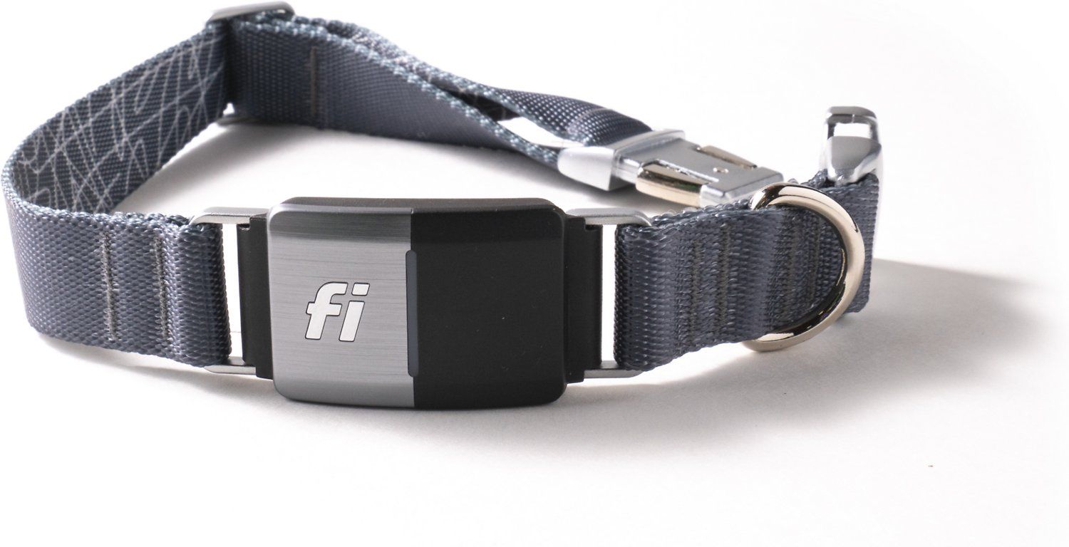 fi-smart-collar-in-grey