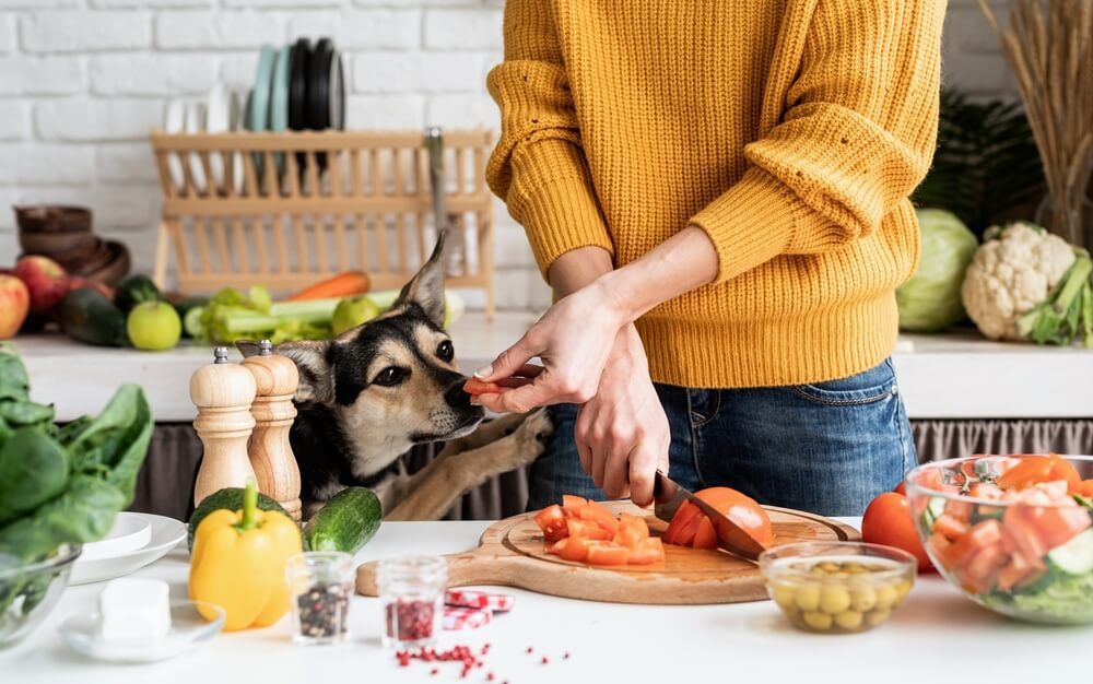 woman-meal-prepping-for-her-dog-and-herself