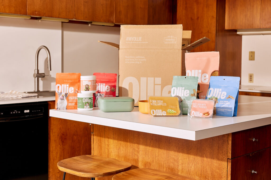 An array of dog food, treats, and supplements displayed on kitchen counter