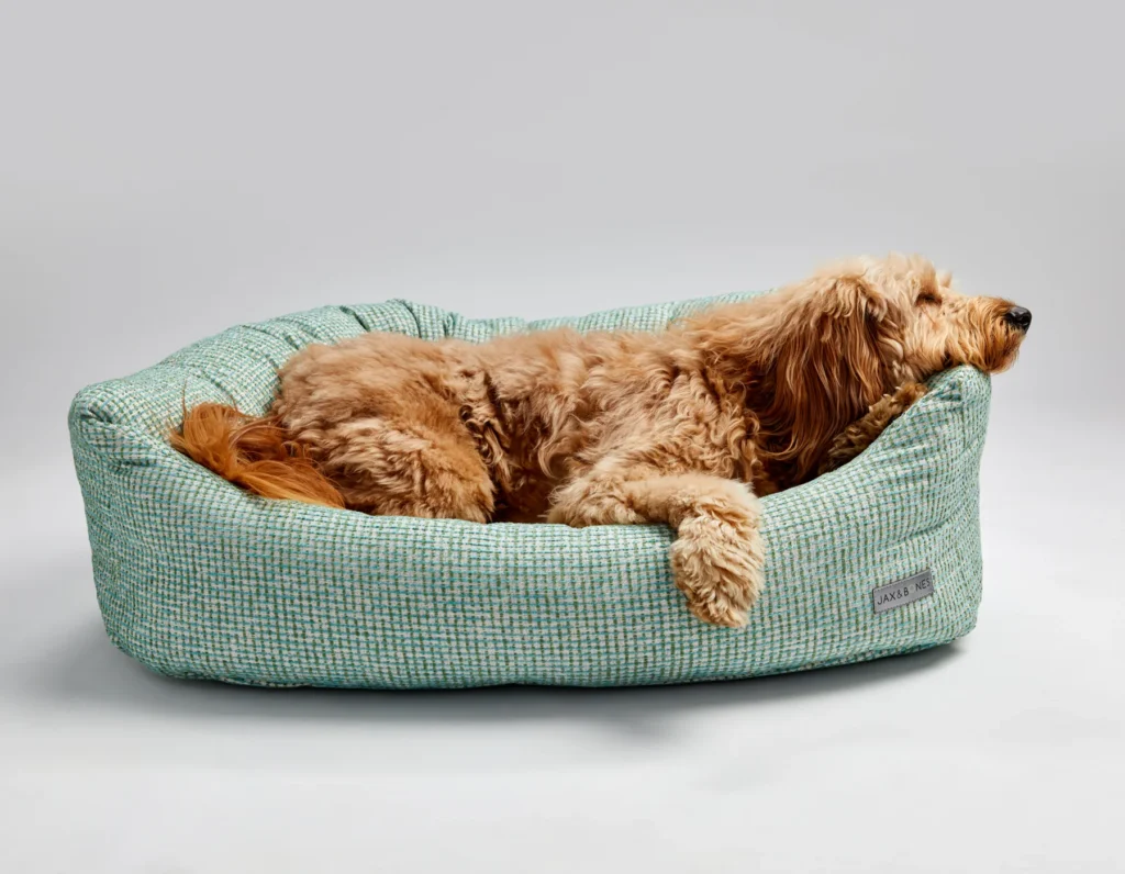 A large goldendoodle dog sleeping on a plush, green dog bed made with a tweed-like fabric.