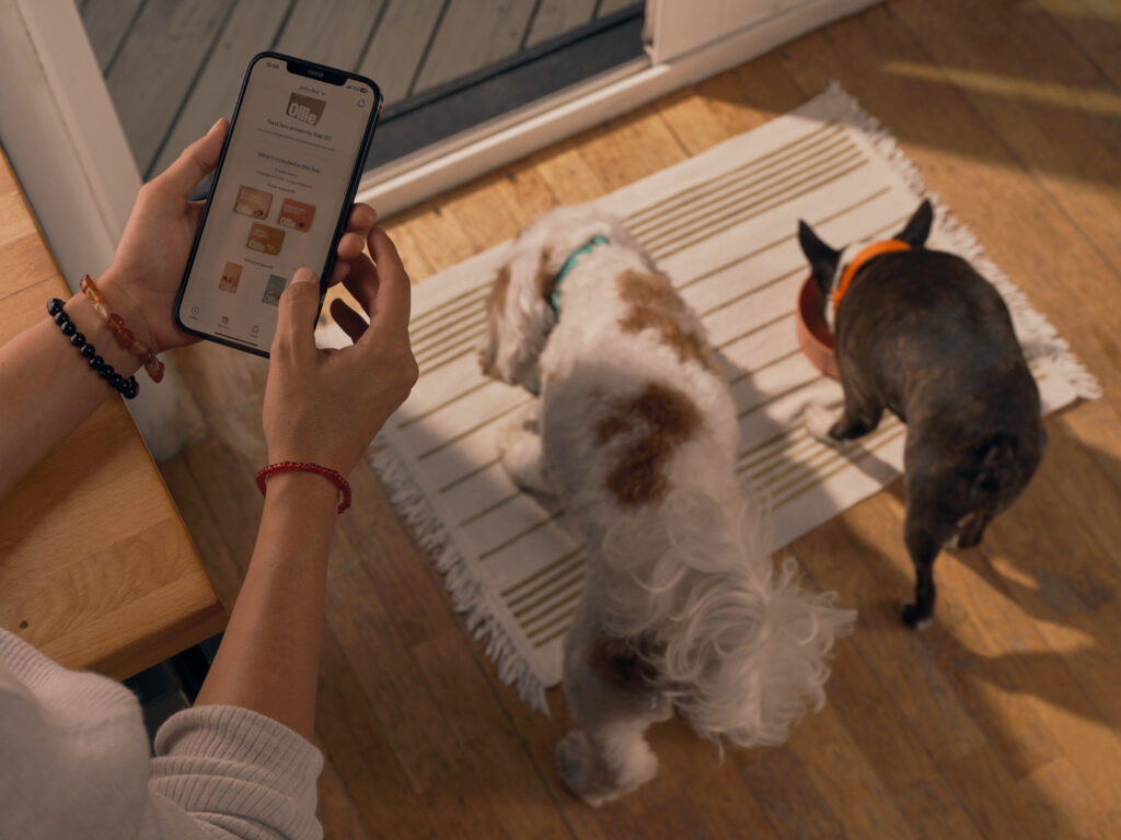 Person choosing their recipes for their dog food delivery while their dogs eat in the background