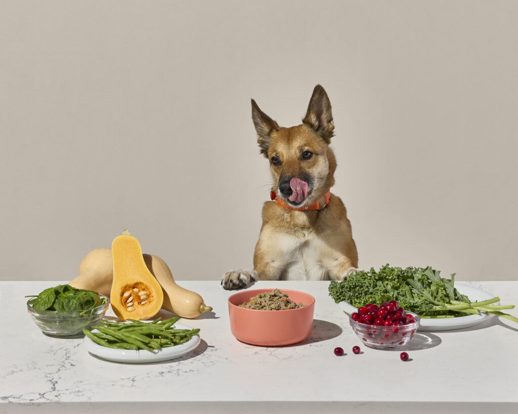 Dog licking its lips in front of a bowl of fresh food and fresh ingredients