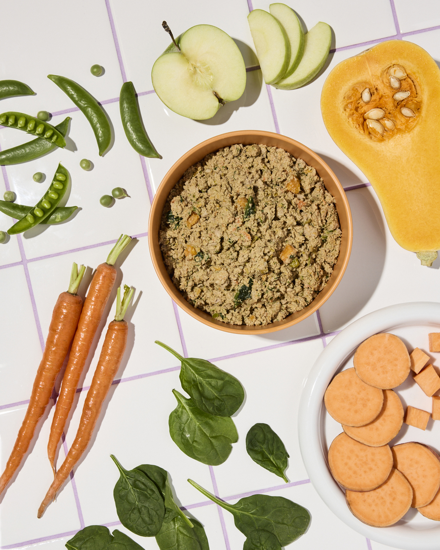 Fresh ingredients and Ollie fresh dog food on tile counter