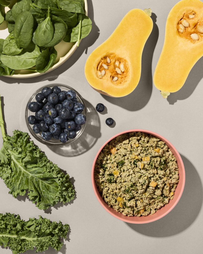 A red bowl of Ollie fresh dog food on a gray background surrounded by a variety of fresh fruits and vegetables.
