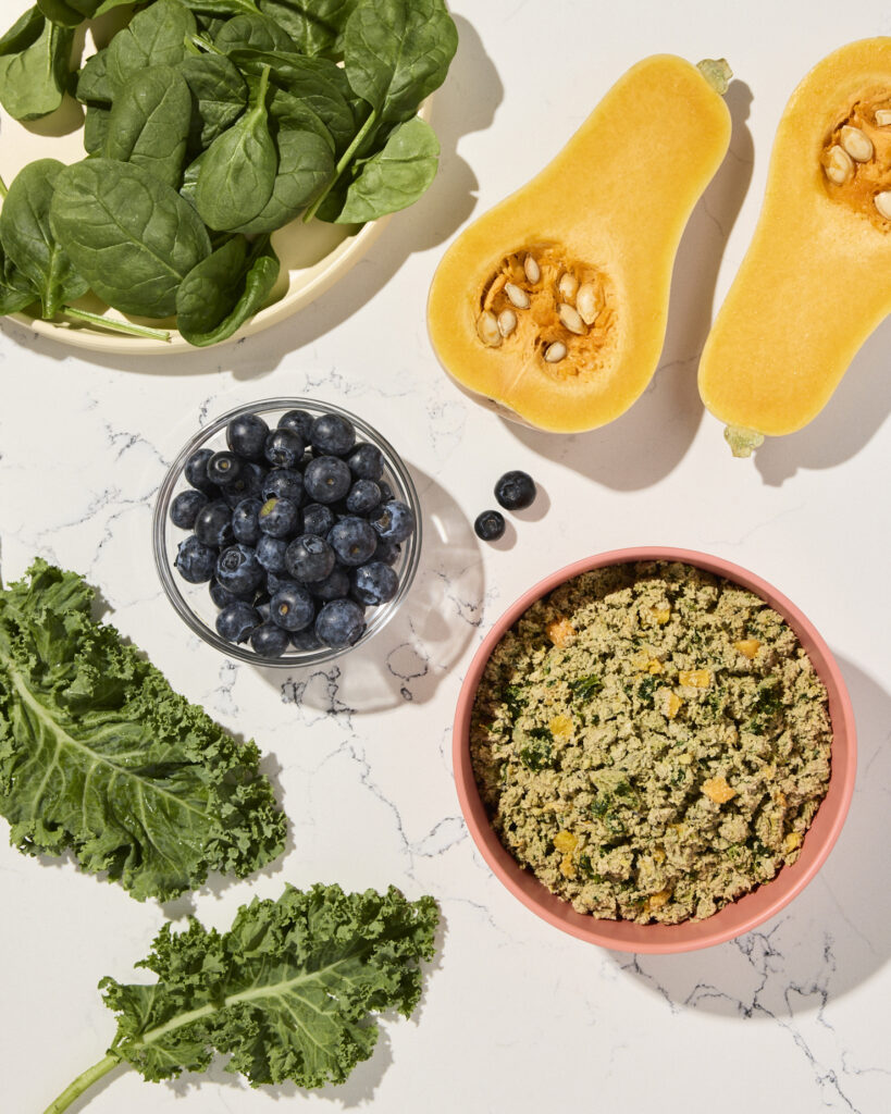A red bowl of Ollie fresh dog food arranged on a marble countertop surrounded by fresh fruits and vegetables