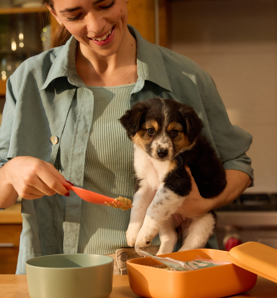A young woman dressed in pale green holding an Australian Shepherd puppy while scooping its Ollie fresh dog food in a modern kitchen.