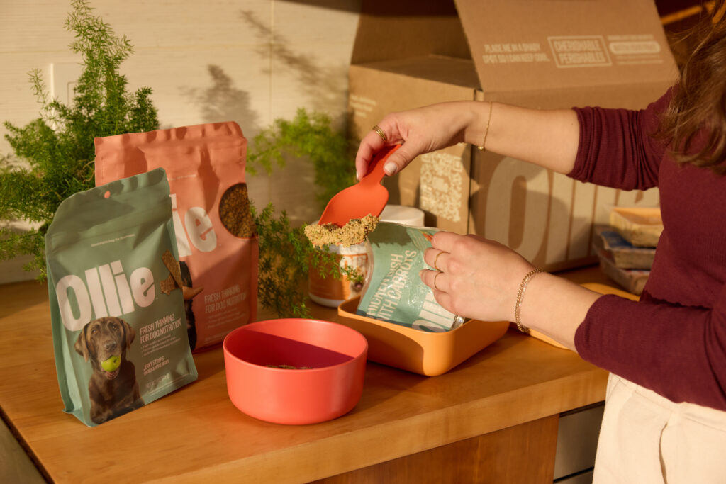 A woman in a maroon long sleeve top scooping Ollie Chicken Dish with Carrots fresh dog food into a red bowl. On the wooden countertop is an assortment of Ollie human-grade dog products.