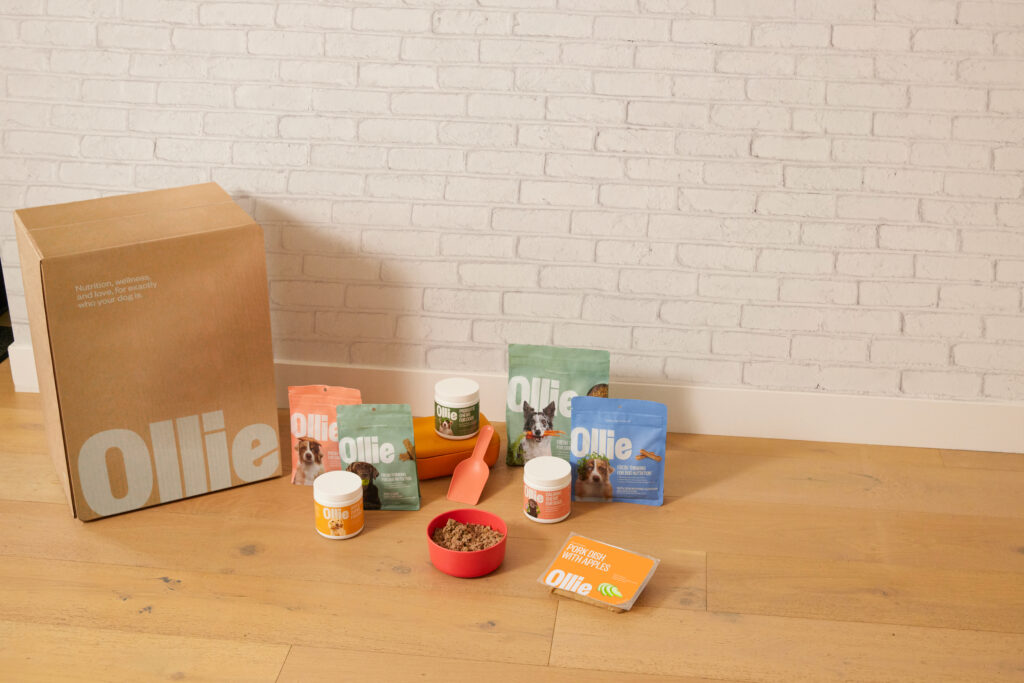 An assortment of Ollie fresh dog food, treats, and supplements arranged on a wooden floor next to a white brick wall.