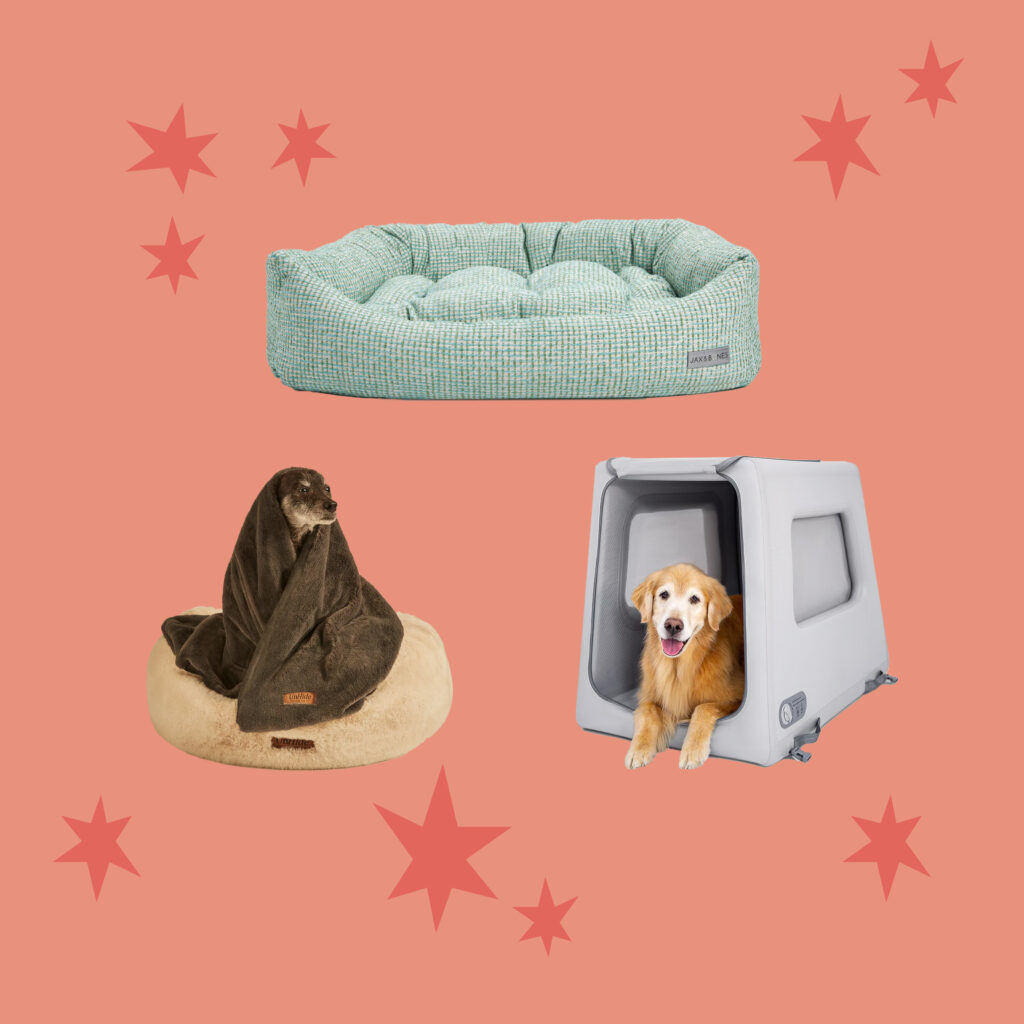 A collage with a light red background with red stars, a green dog bed, a gray and black dog in a blanket on a dog bed, and a golden retriever in an inflatable kennel.